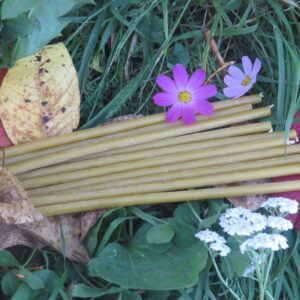 Свечи восковые неокрашенные часовые