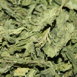 Травы: Крапива Купальская