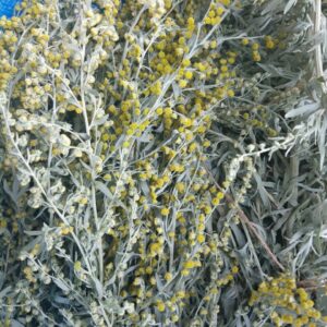 Травы: Полынь горькая  (Купальская)