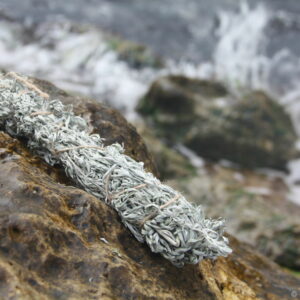 Скрутка: Полынь горькая  (Купальская)