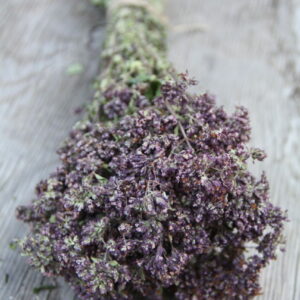 Душица (Купальские травы)