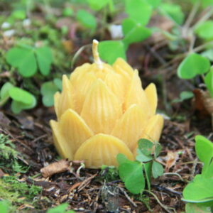 Свечи: "Лотос"