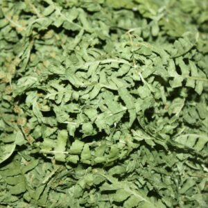 Травы: Папоротник Купальский