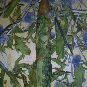 Свеча восковая " Чертополох"