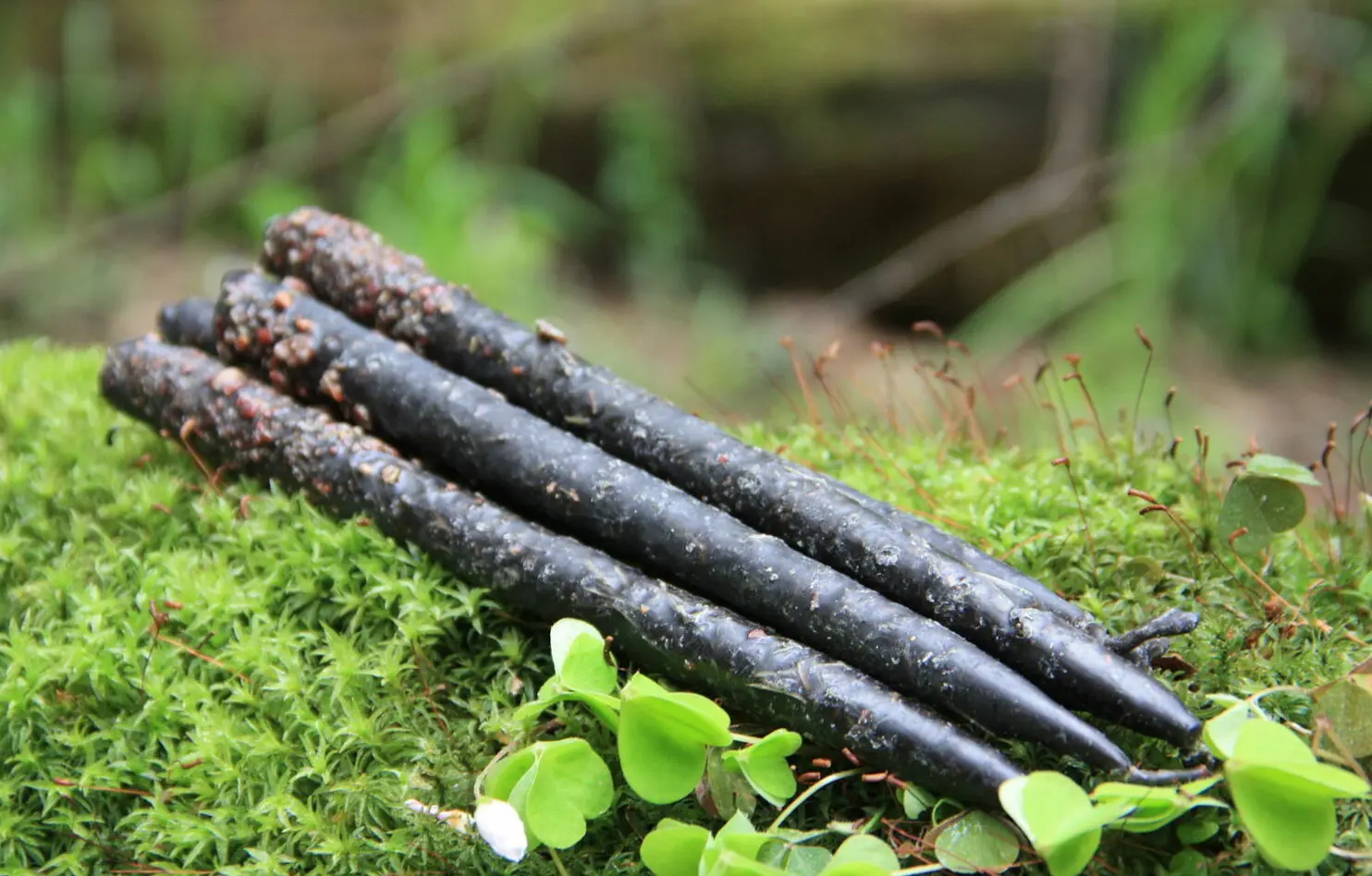 Свеча на очищение "Можжевельник" — изображение 3