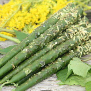 Свеча денежная: Принятие верных решений