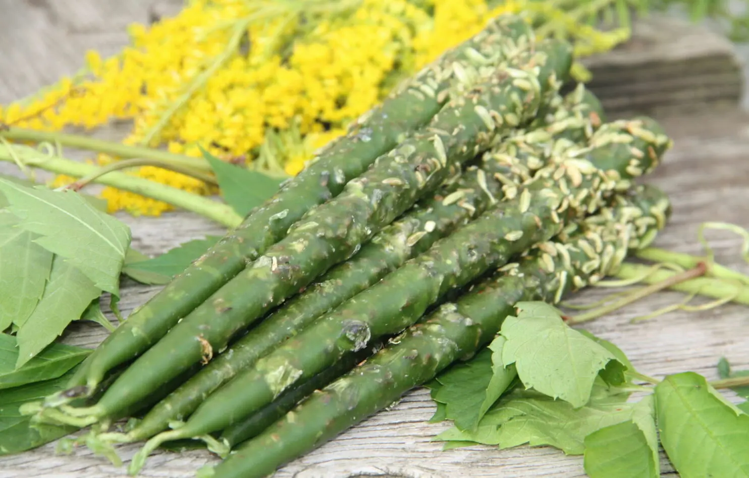 Свеча денежная: Принятие верных решений