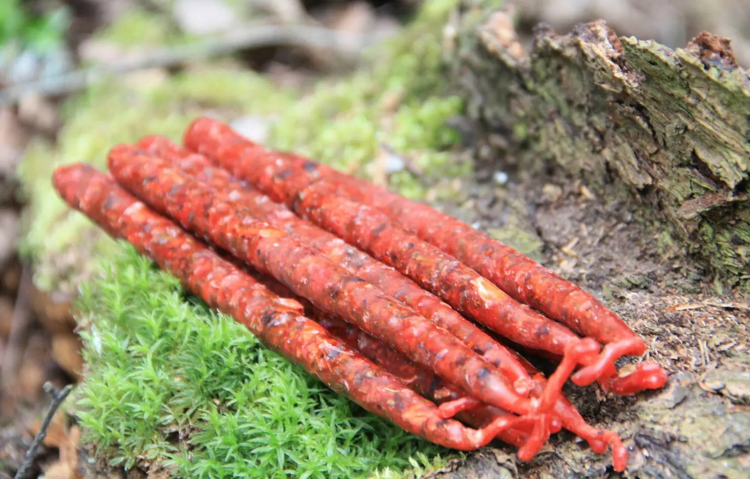 Маканая свеча "Привлечение любви" — изображение 2