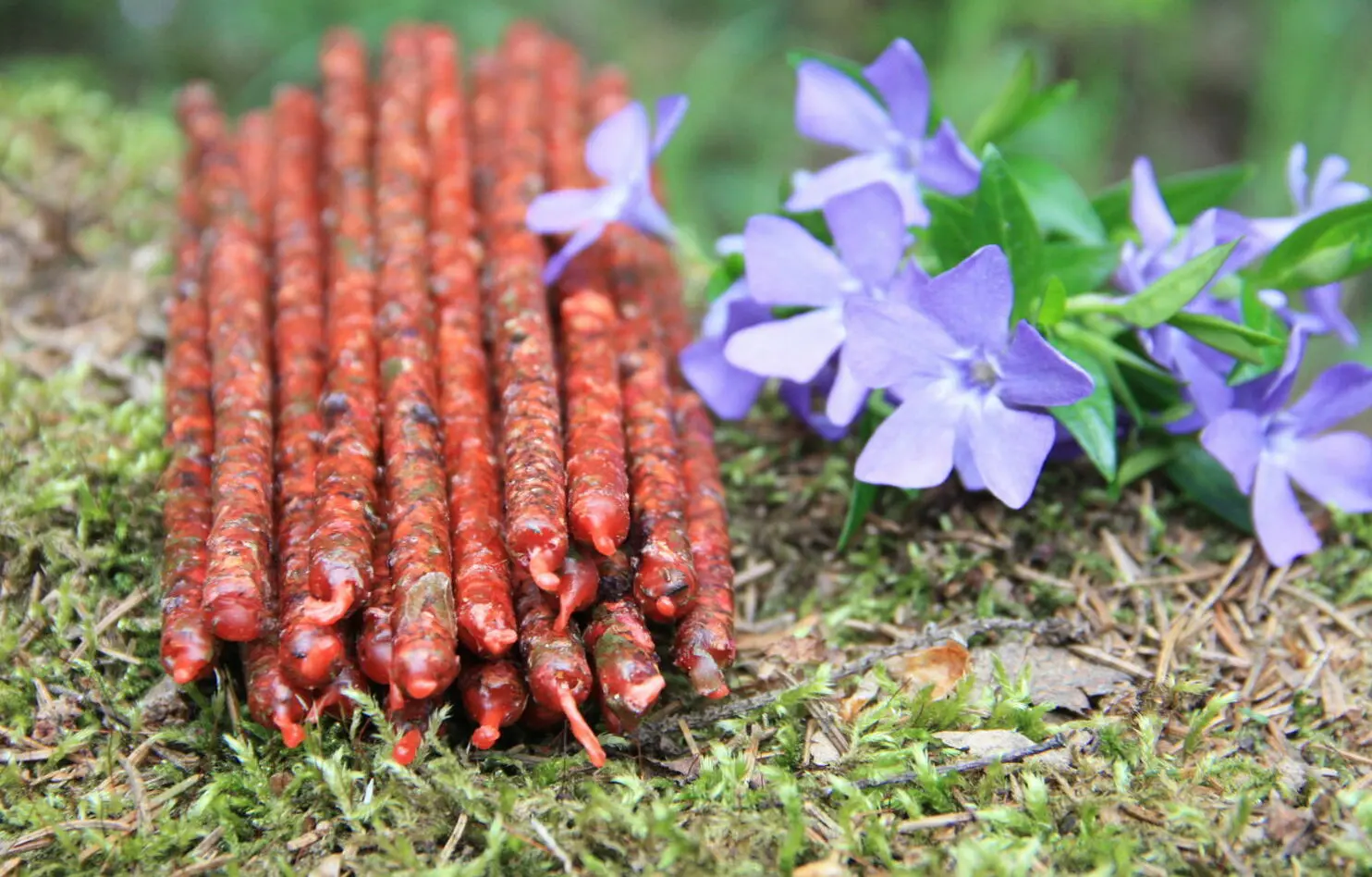 Свеча восковая "На гармонизацию" — изображение 2