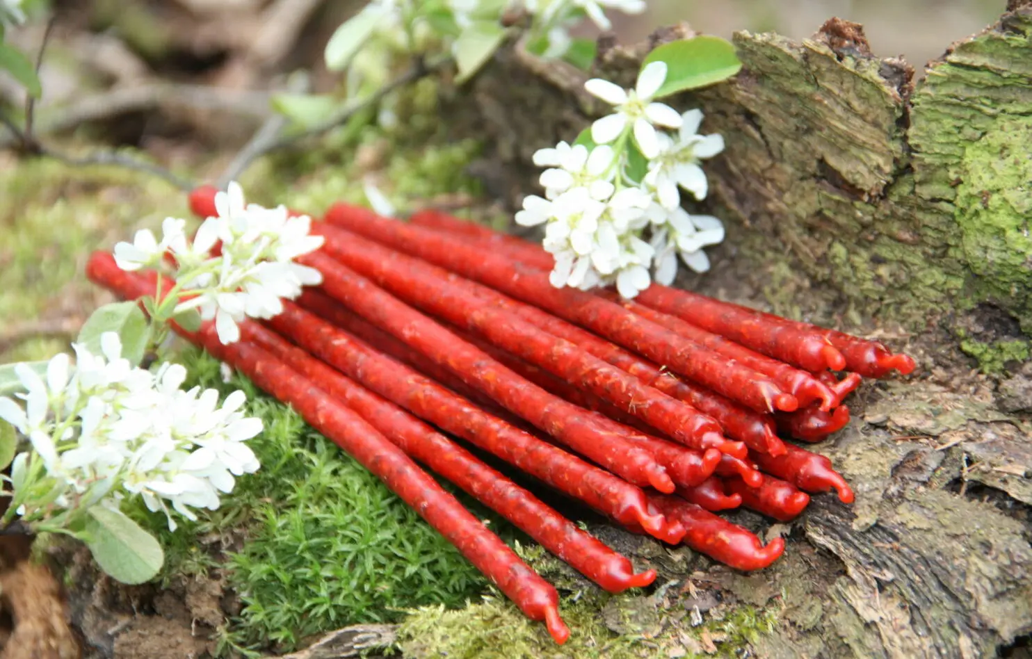 Свеча красная ПРИВЛЕКАТЕЛЬНОСТЬ — изображение 2