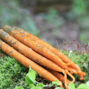 Свеча на Желание