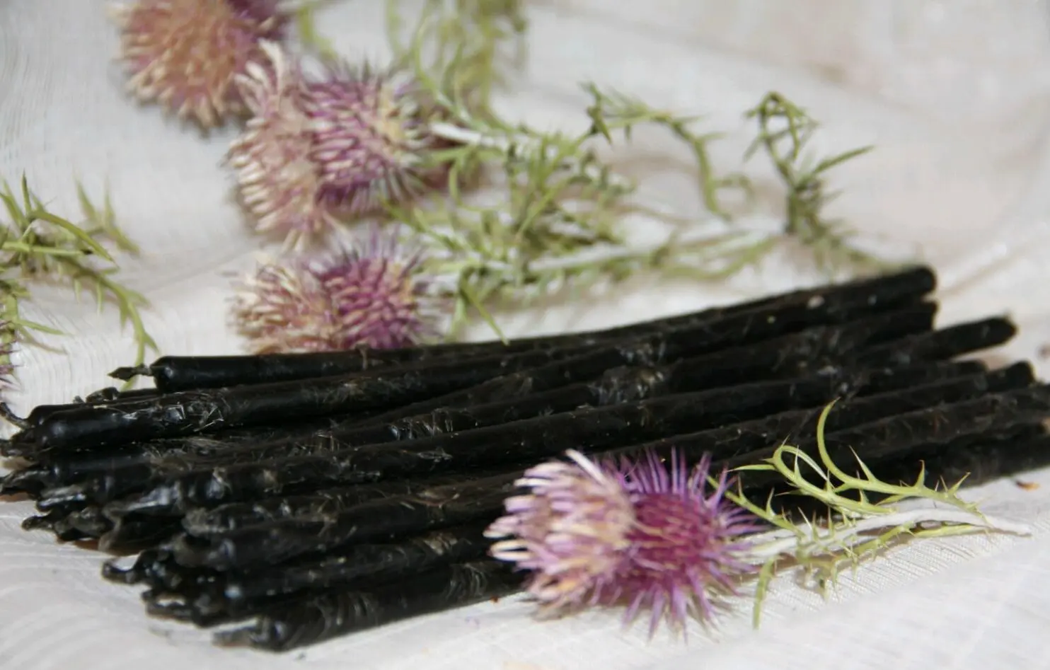 Свеча черная с ЧЕРТОПОЛОХОМ — изображение 2