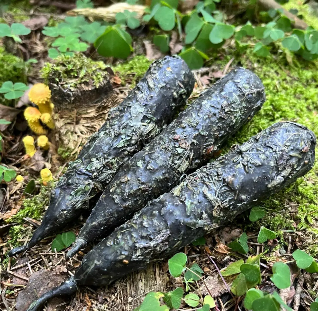 Свеча "ОЧИЩЕНИЕ" — изображение 2