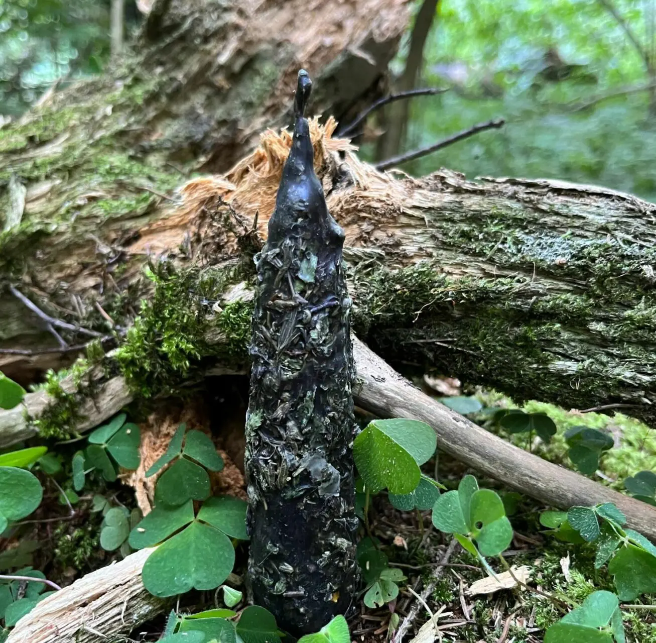 Свеча "ОЧИЩЕНИЕ" — изображение 3