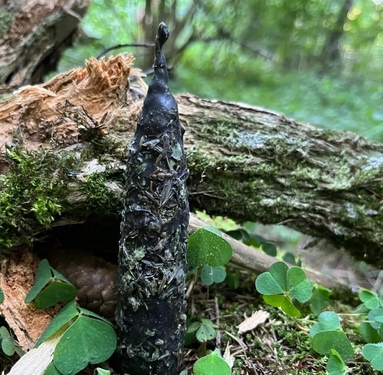 Свеча "ОЧИЩЕНИЕ" — изображение 4