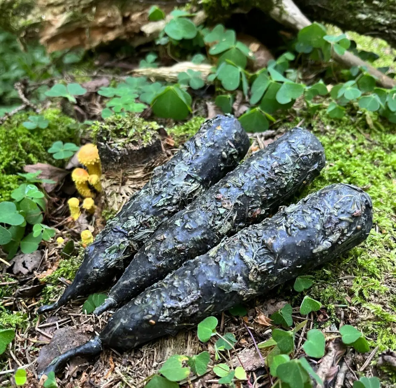 Свеча "ОЧИЩЕНИЕ"