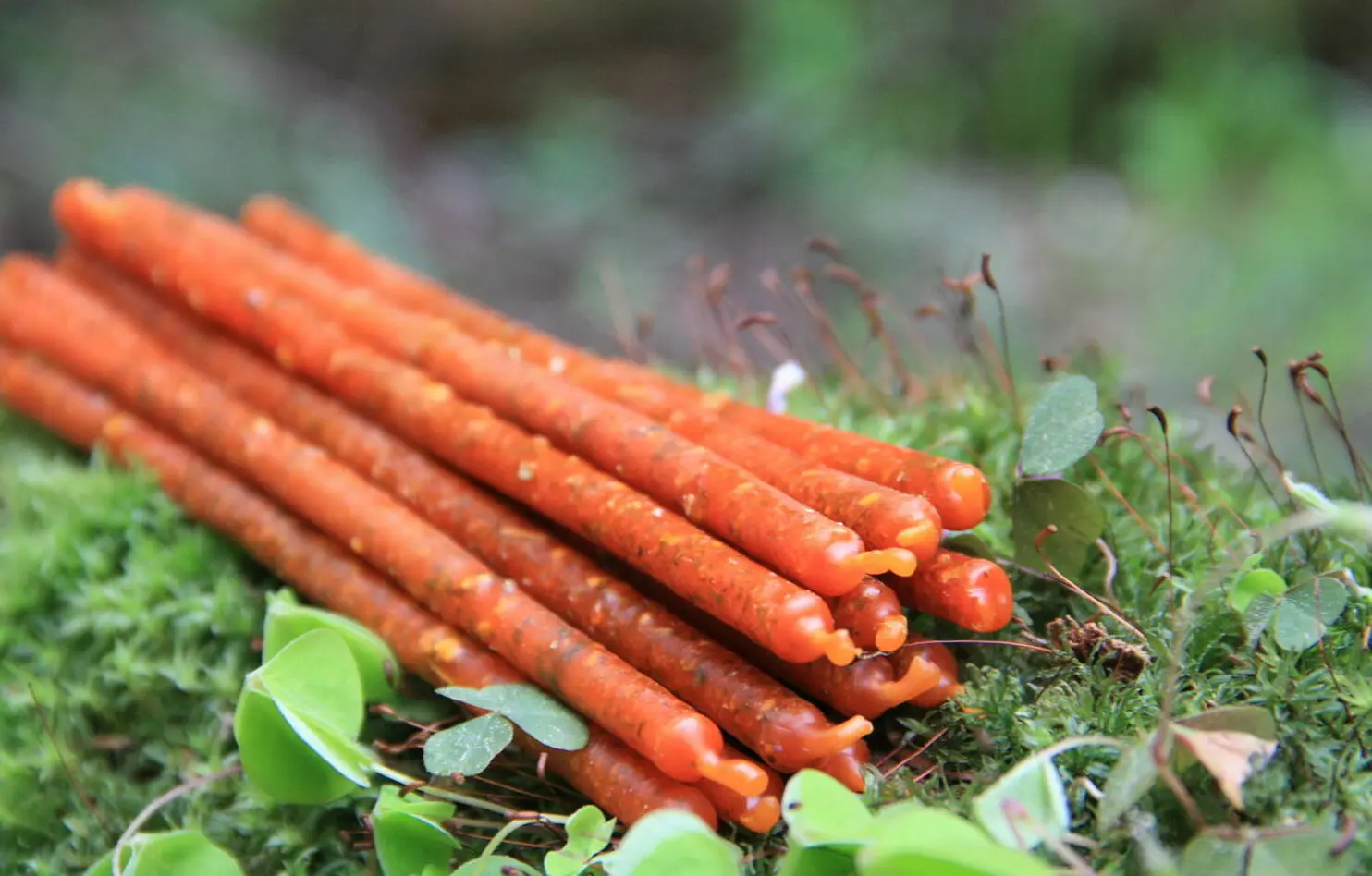 Свеча на Желание (малая) — изображение 2