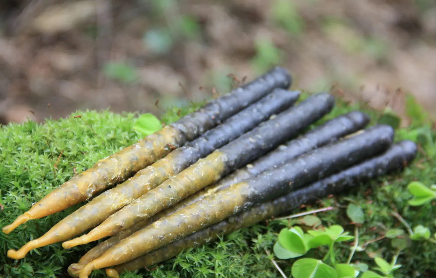 Свечи "Очищение 9 трав" — изображение 3