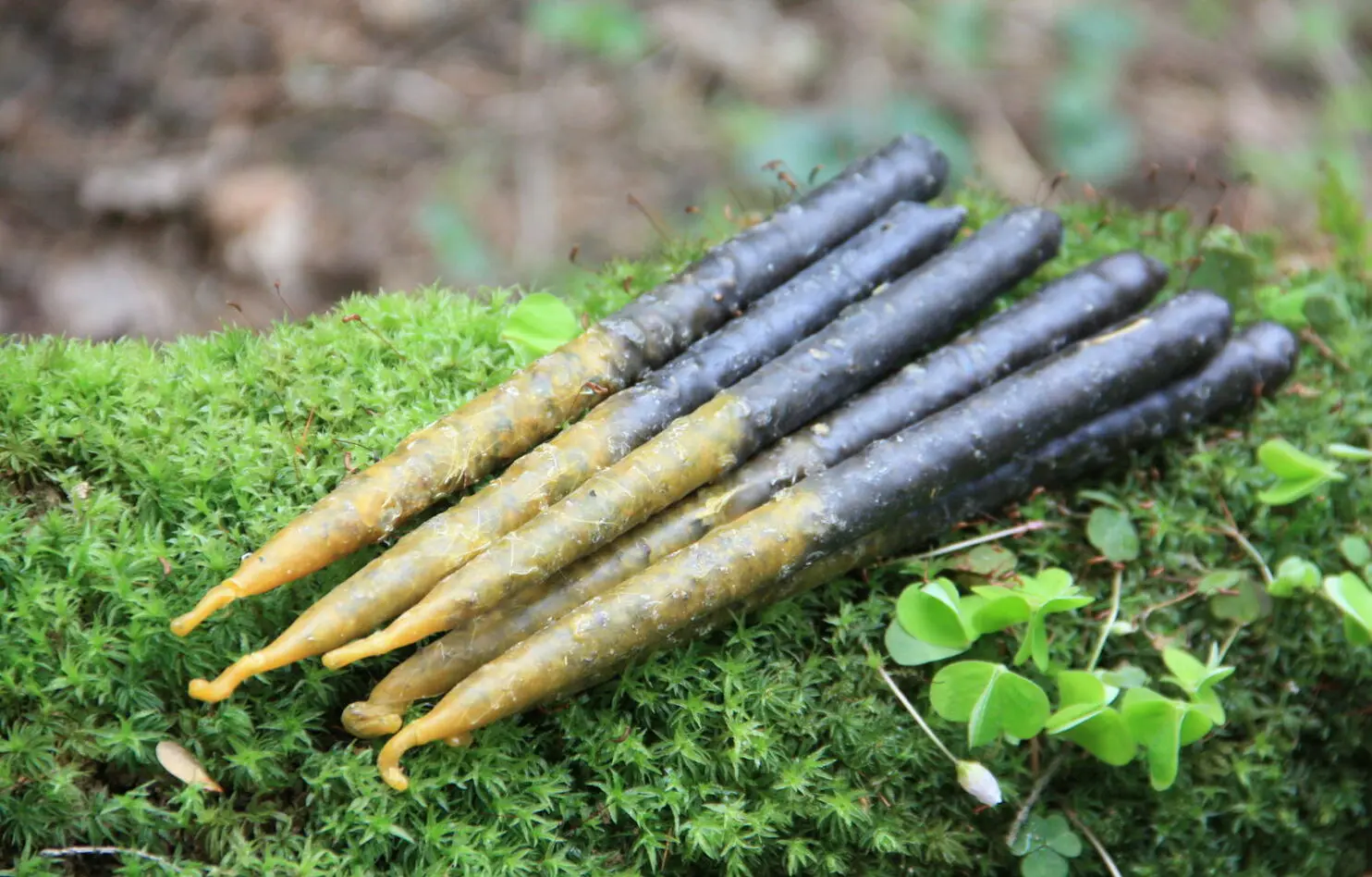 Свечи "Очищение 9 трав" — изображение 4