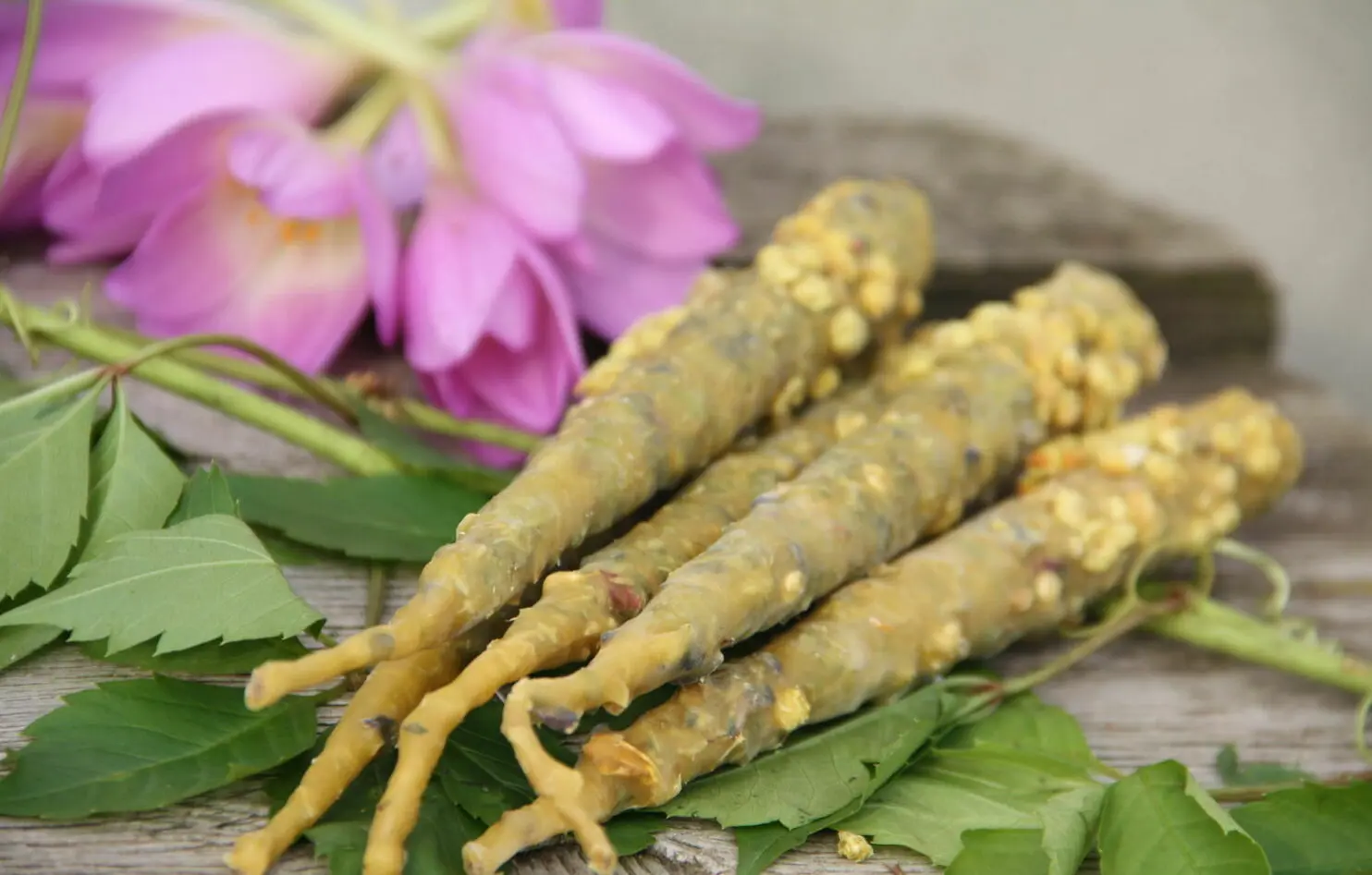 Свечи полнолуния "На восстановление сил и здоровья" — изображение 4