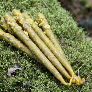 Свечи "Восстановление - 9 трав"