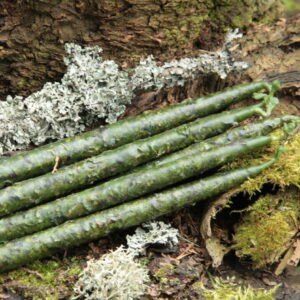 Свеча "Привлечение денег и удачи"