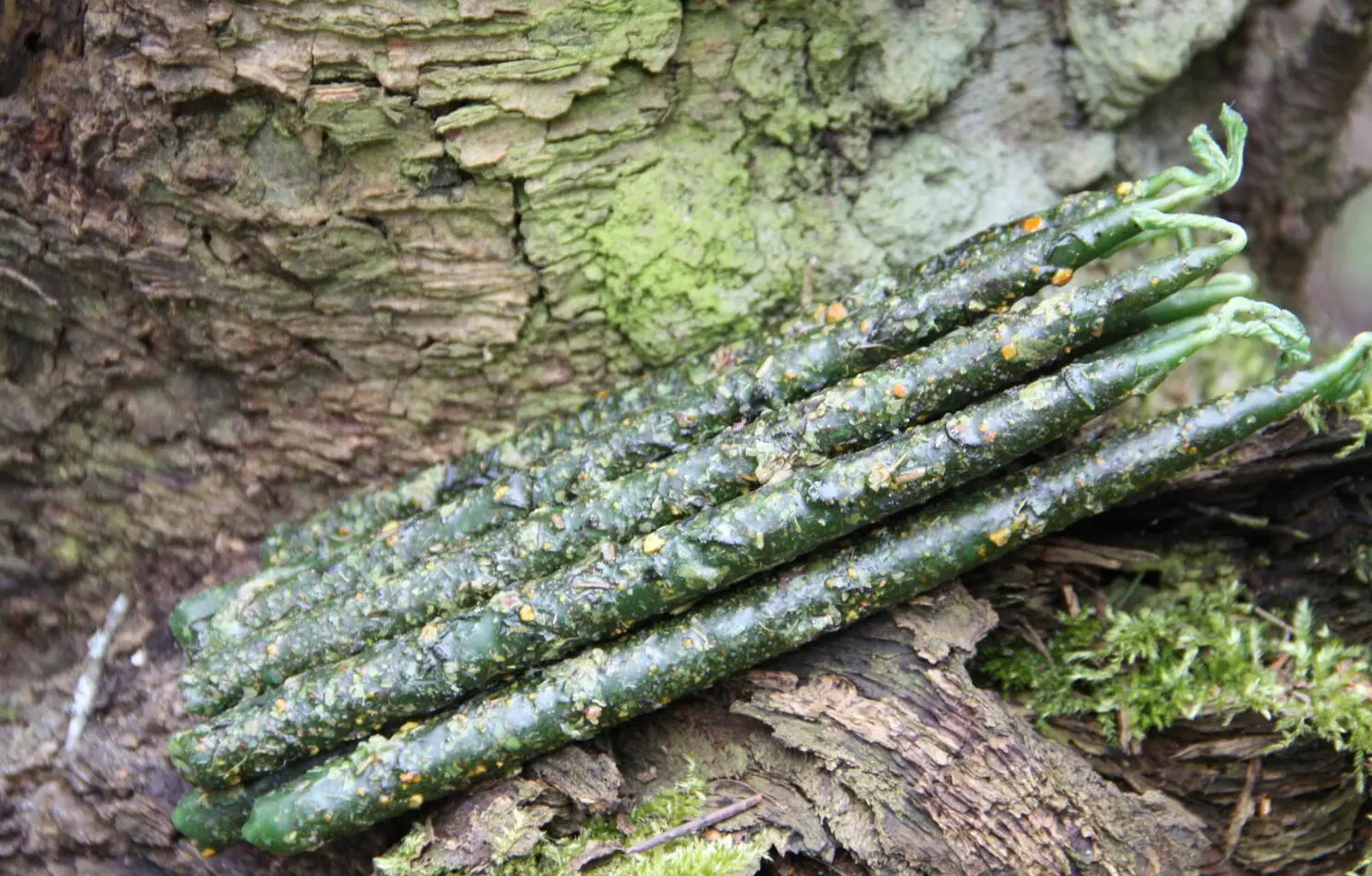 Свеча "Деньги и удача" — изображение 4