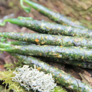 Свеча "Деньги и удача"