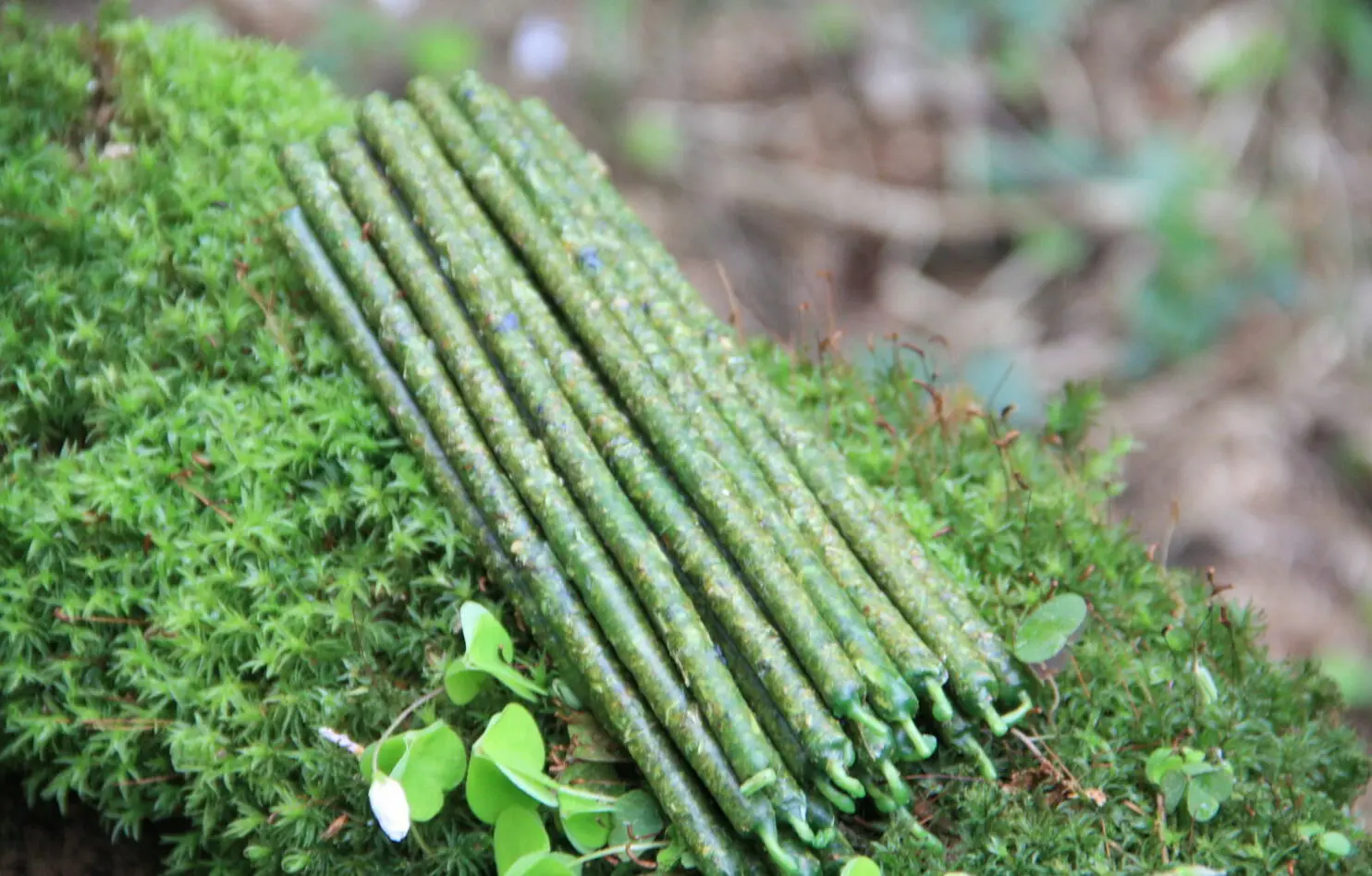 Свеча "Привлечение денег и удачи" (малая) — изображение 3