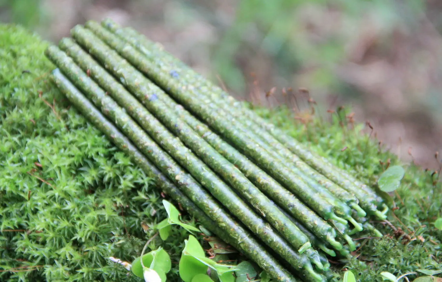 Свеча "Привлечение денег и удачи" (малая) — изображение 4