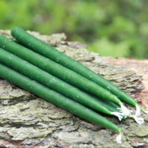 Маканая зеленая свеча (трехчасовая)