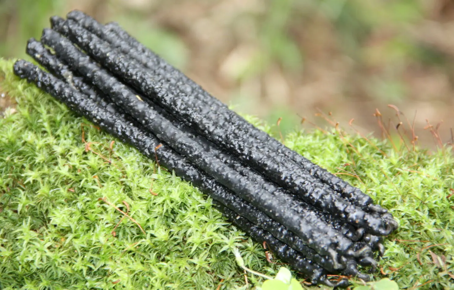 Свеча черная с четверговой солью — изображение 3