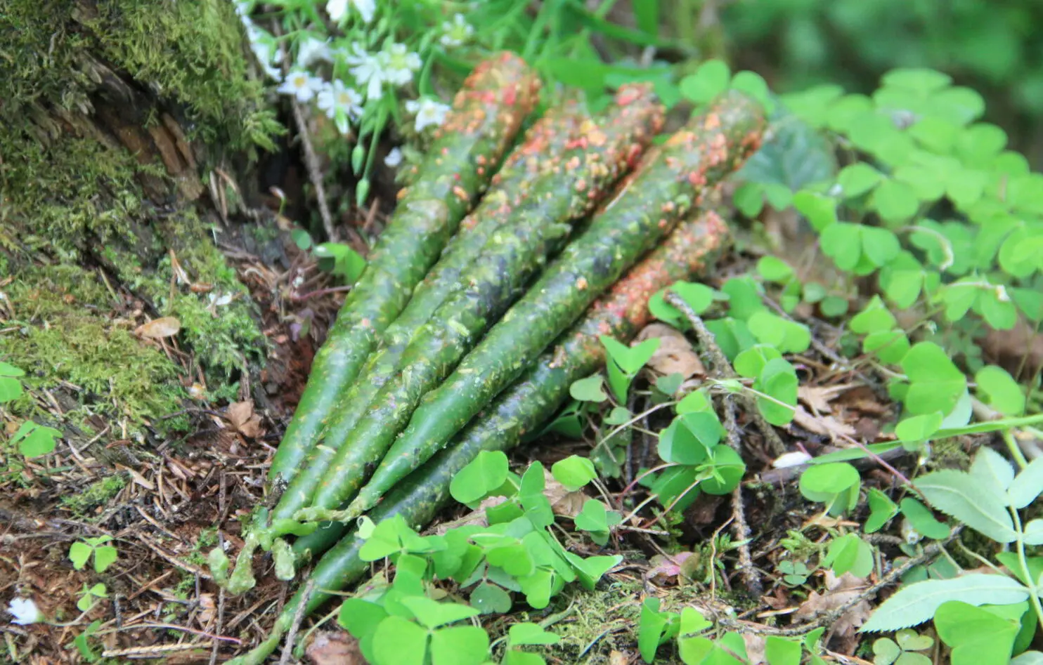Свечи Мабона: Денежное благополучие — изображение 2