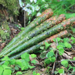 Свечи Мабона: Денежное благополучие