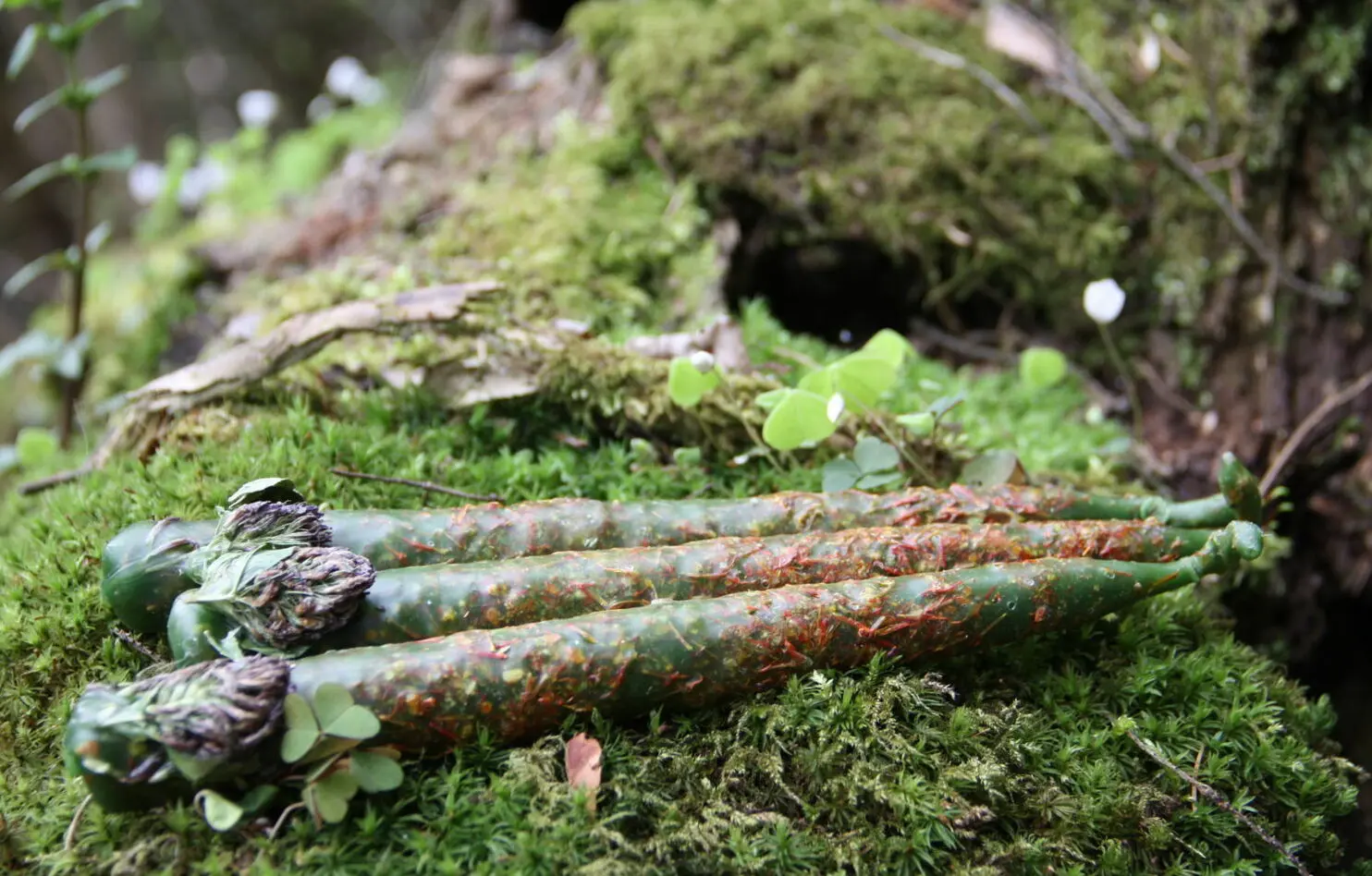 Свеча Мабона ДЕНЕЖНАЯ — изображение 2