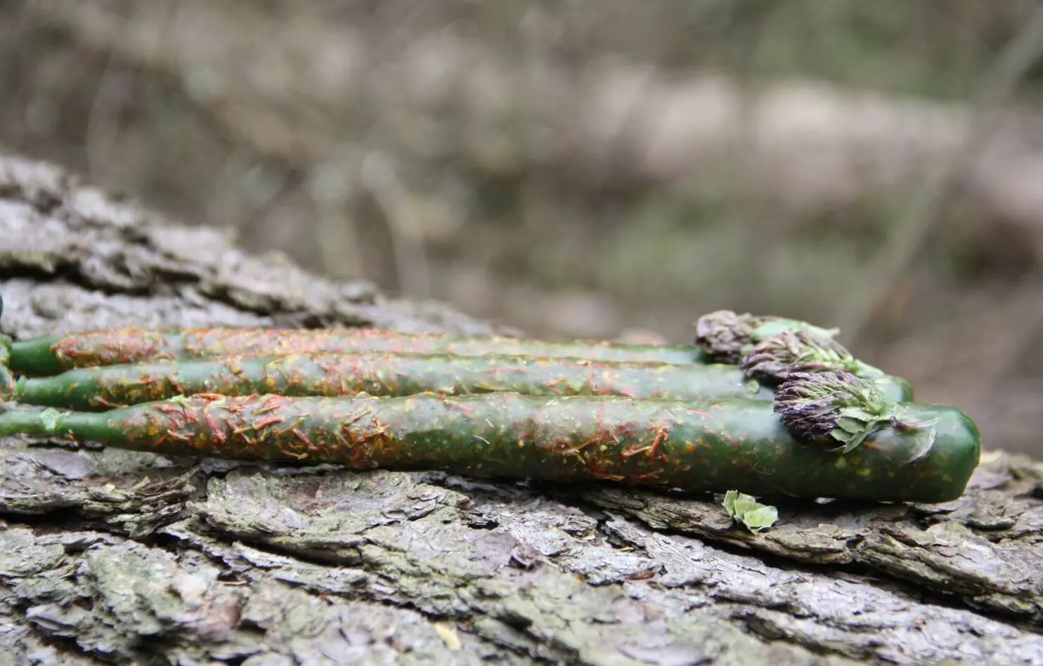 Свеча Мабона ДЕНЕЖНАЯ — изображение 4