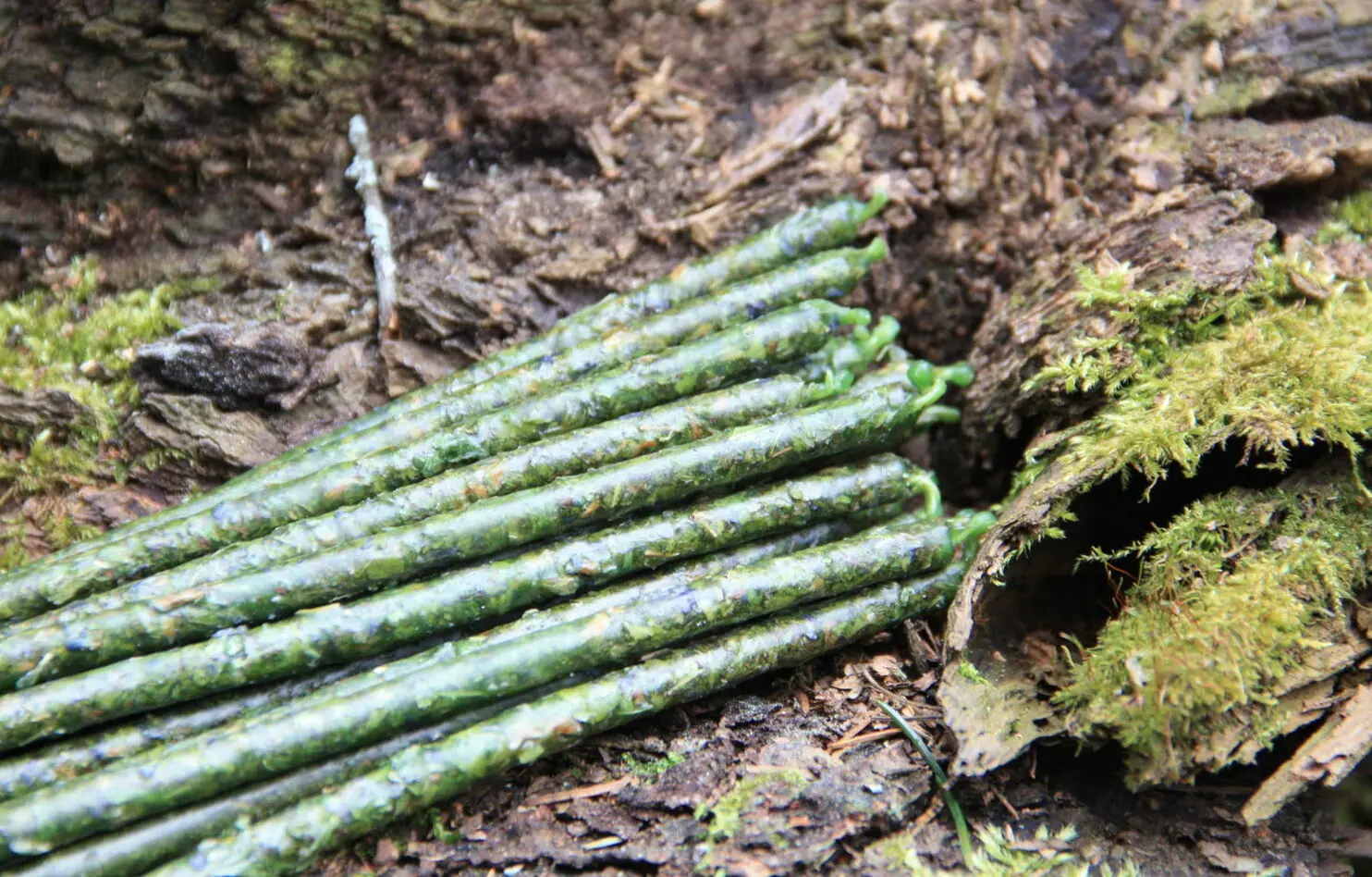 Свеча зеленая "Идеальное здоровье" (малая) — изображение 4