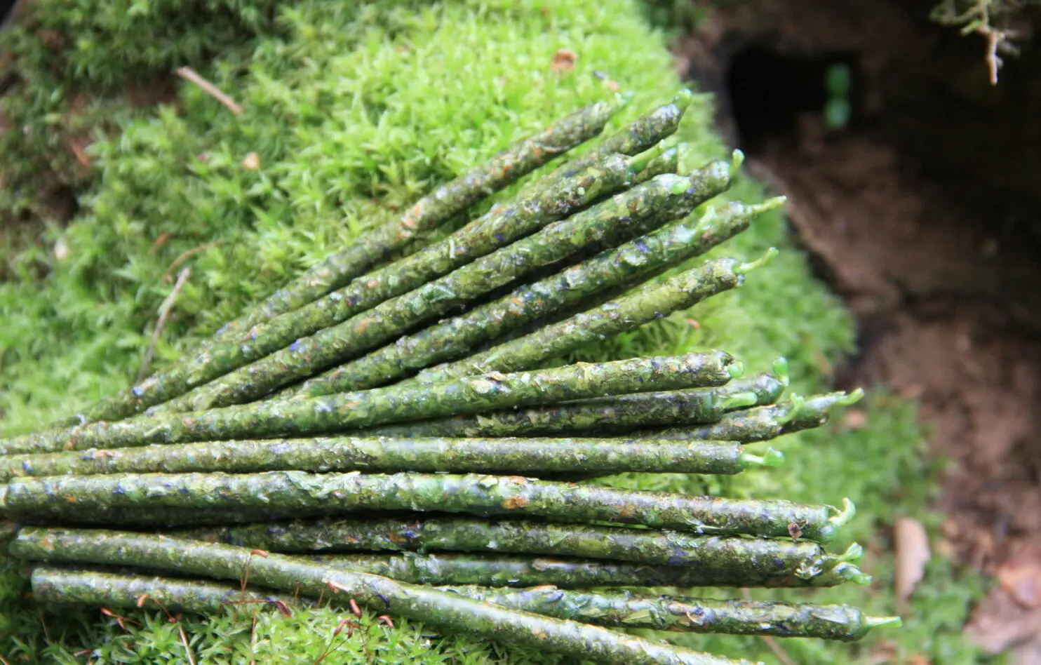 Свеча зеленая "Идеальное здоровье" (малая) — изображение 5