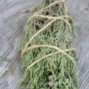 Скрутка Можжевельник (сбор 2023г)