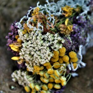 ТРАВЫ (Зеленоград)