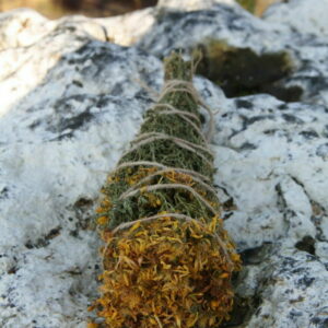 Зверобой (Купальские травы) - сбор 2023 года