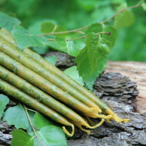 Свеча восковая с ОСИНОЙ