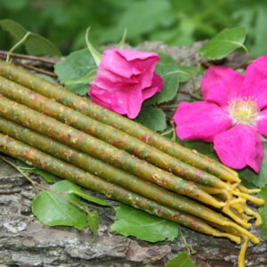 Свеча с Крымской розой и березой