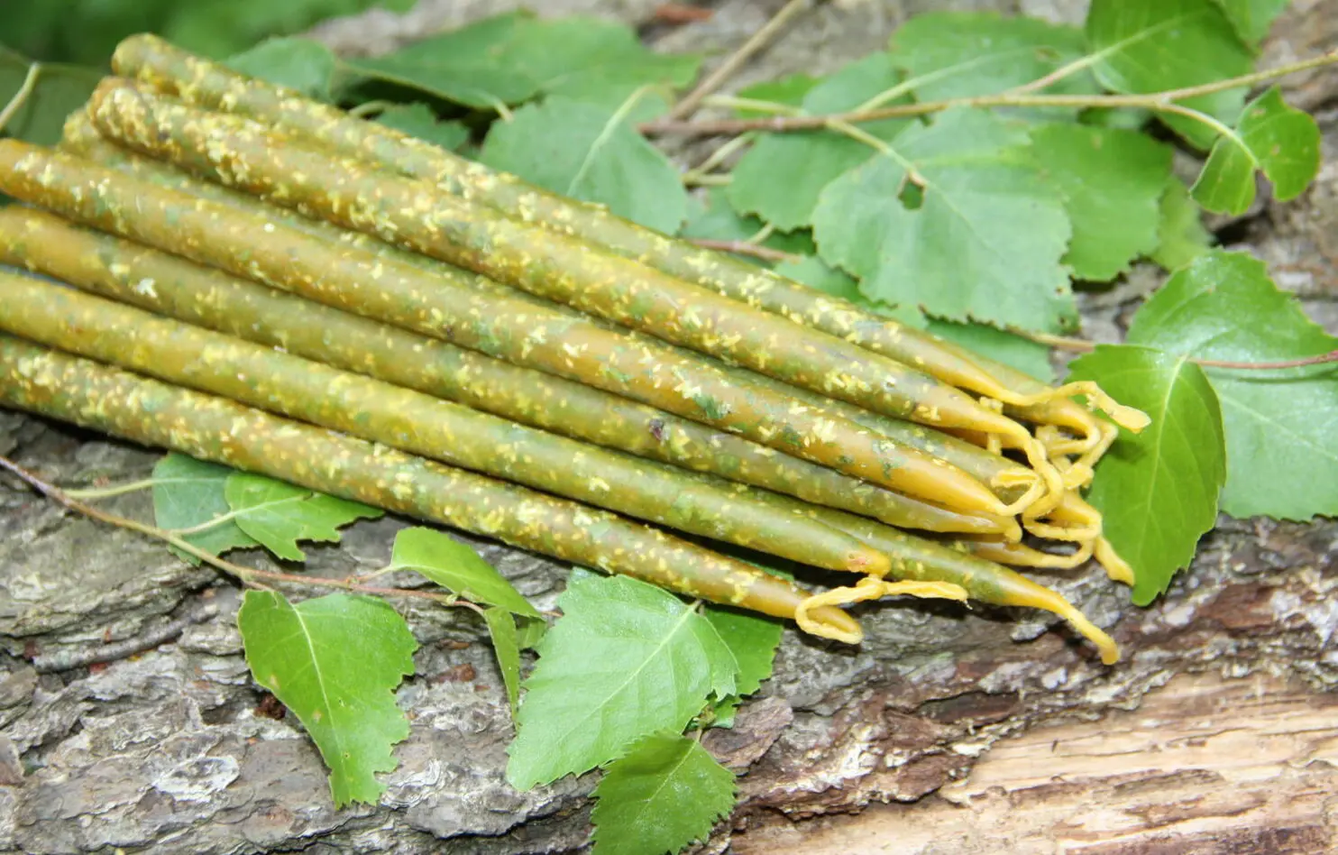 Свеча с березой — изображение 4