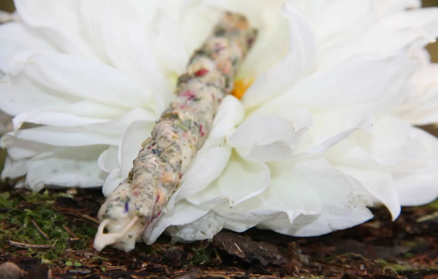 Свечи полнолуния: "ЗАЩИТА ДОМА" — изображение 2