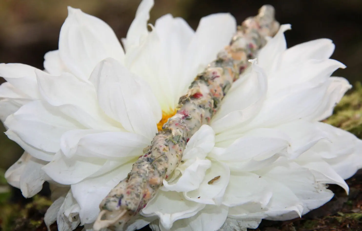 Свечи полнолуния: "ЗАЩИТА ДОМА" — изображение 3