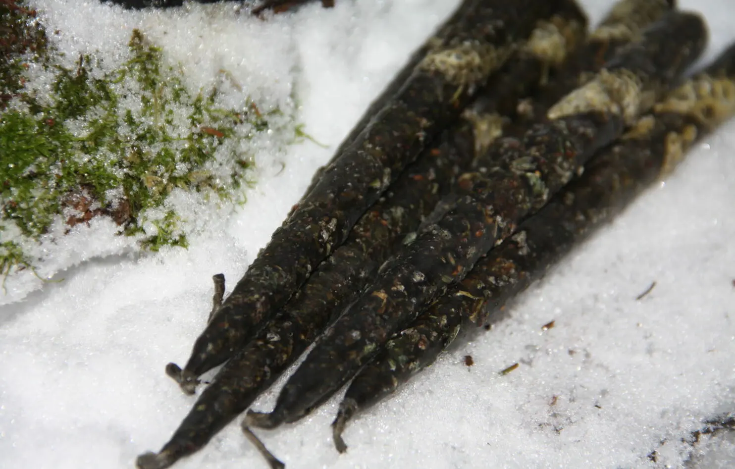 Свечи "Избавление" — изображение 2