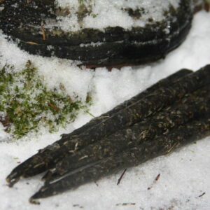 Свечи Самайна: "Связь с духами"