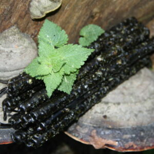 Свеча ЧИСТЫЙ ЧЕТВЕРГ