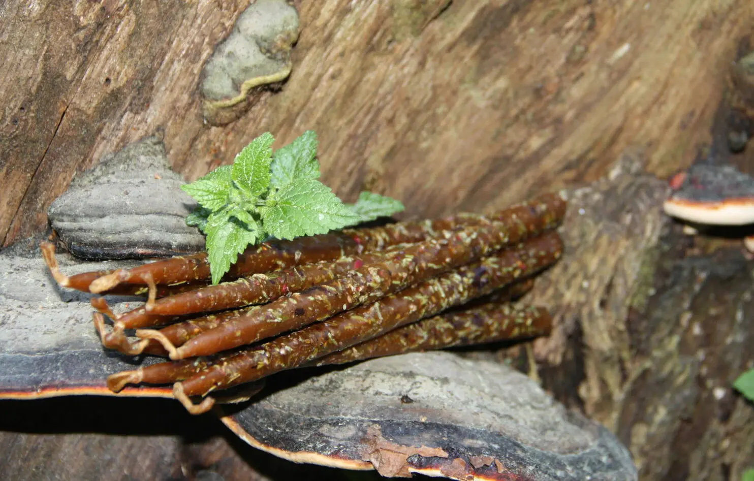 Свеча "Наполнение жилища" — изображение 3